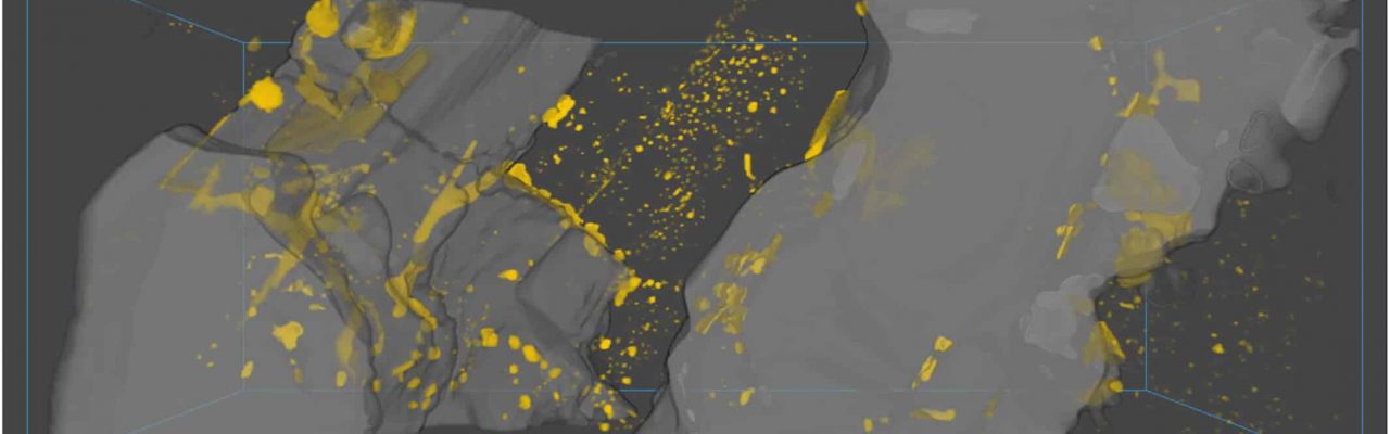 FIBSEM image of a volcanic sample (HW-03)